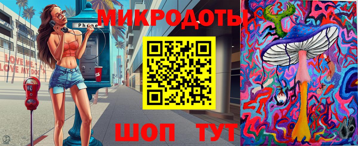 Галлюциногенные грибы Psilocybe Ленинск-Кузнецкий