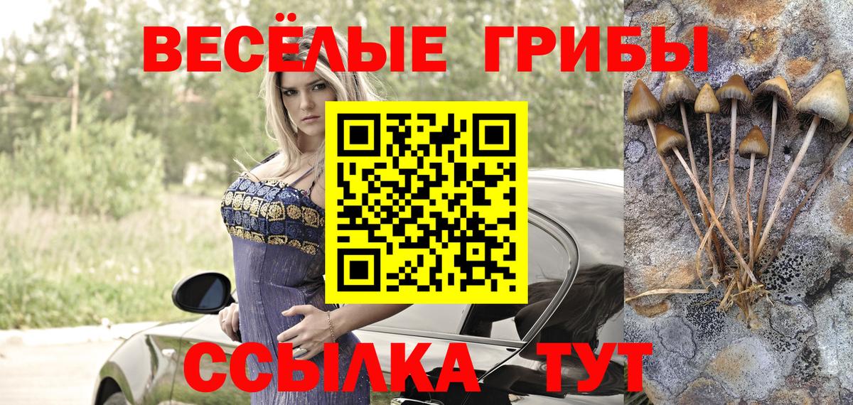 Галлюциногенные грибы Psilocybe  Псилоцибиновые грибы Psilocybine cubensis  Вход с VPN  Ленинск-Кузнецкий 